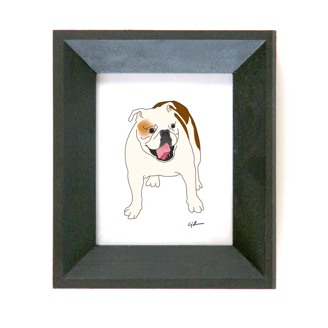 custom pet portrait drawn by christy johnson of united goods like this bulldog print